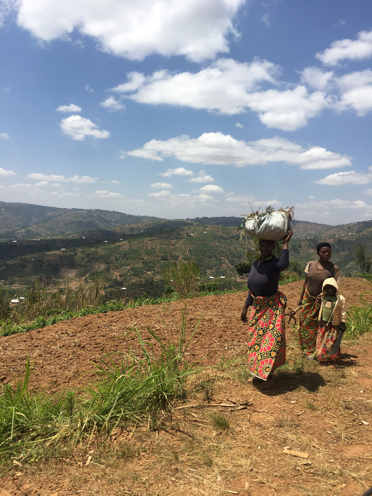 Kenya AA Small Lot Reserve