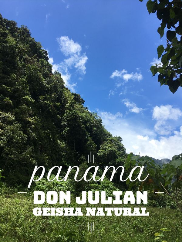 Don Julian Geisha Natural