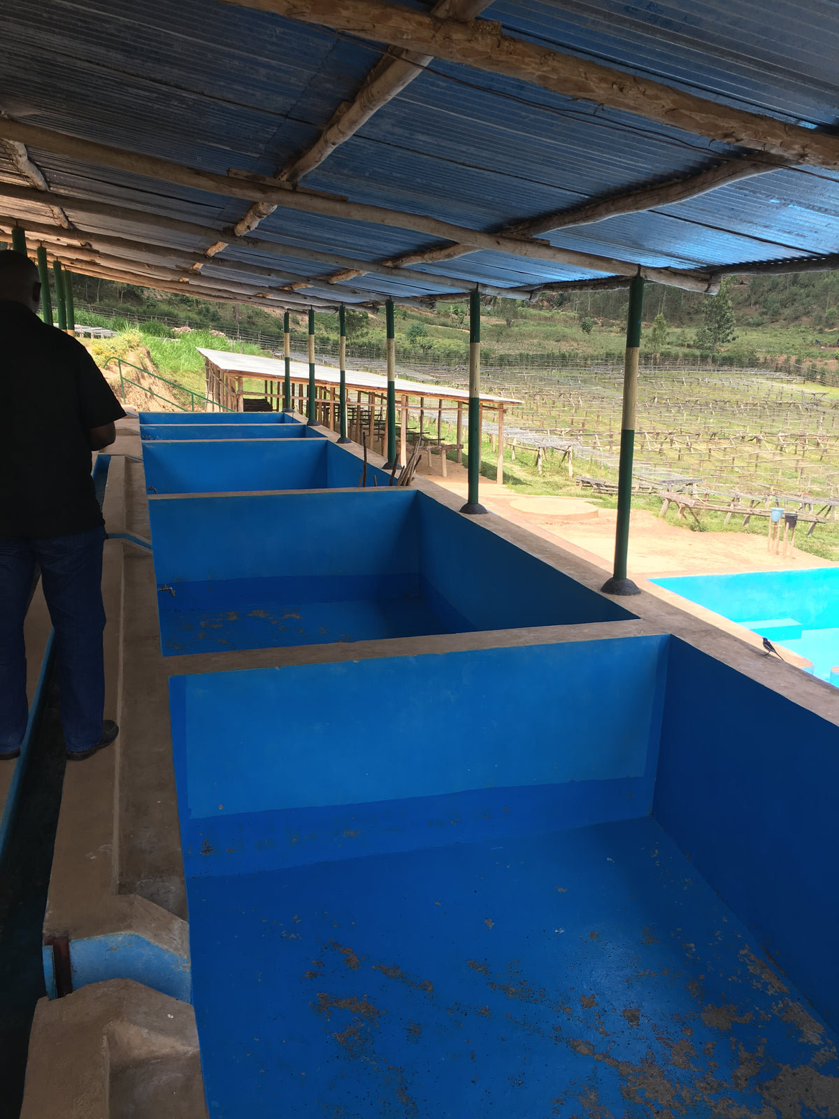 Kenya AA Small Lot Reserve