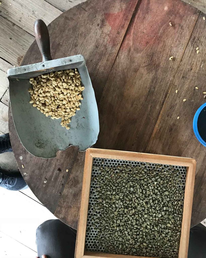 Rare &amp; Exotic: Colombia - La Cristalina Pink Bourbon Washed 310g