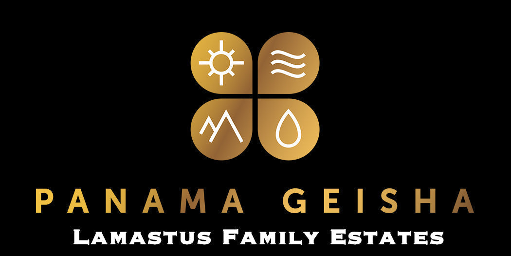 Panama Geisha - Elida Estate Geisha Natural